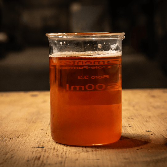 Salmon Oil